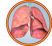 Zuurstofopname longen